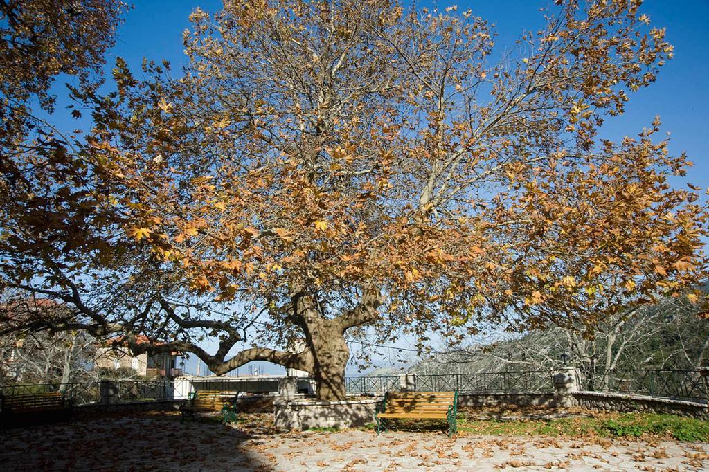Guesthouse Mavrodimos Eptalofos Exterior photo